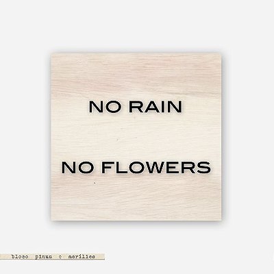 Quadro Pinus M - No Rain. No Flowers