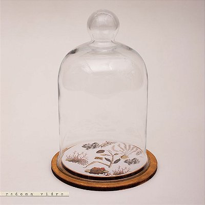 Redoma - Botânica Coral