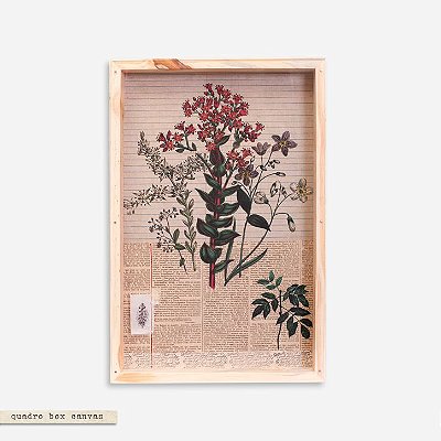 Quadro Box Colagem Botânica - Ramo Flor