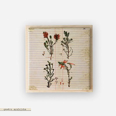 Quadro Azuleicha Botânica - Galhos