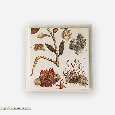 Quadro Azuleicha Botânica - Coral