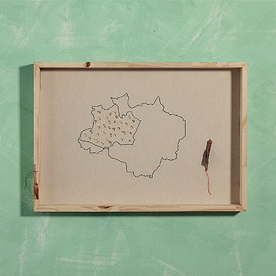 Quadro Amazônia Vive