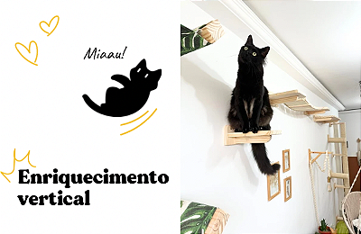 Enriquecimento Vertical