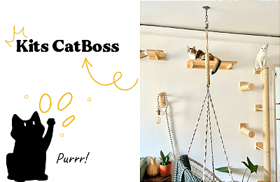 Kits CatBoss