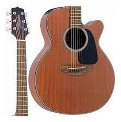 VIOLAO TAKAMINE GN-11
