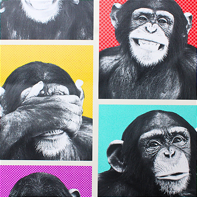 Papel de Parede Gorila Colorido Rolo com 10 Metros