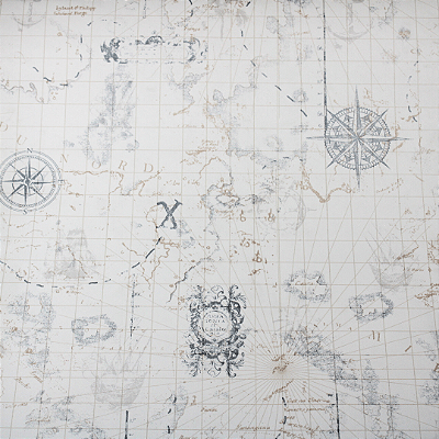 Papel de Parede Mapa Mundi em Tons Claros Rolo com 10 Metros