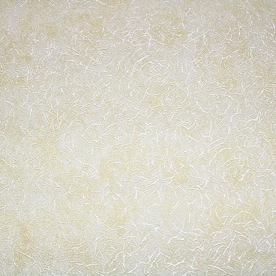 Papel de Parede Texturizado Tom de Palha Rolo com 10 Metros