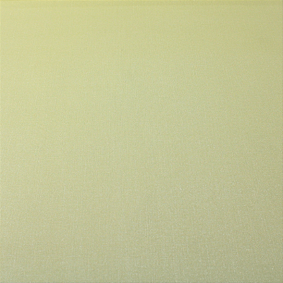 Papel de Parede Texturizado em Tom de Verde Rolo com 10 Metros