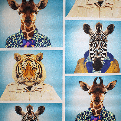 Papel de Parede Importado Animais 10 Metros