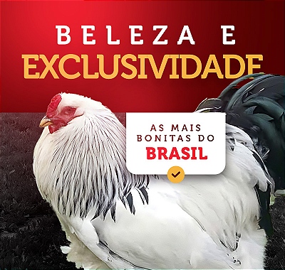 Mini Banner 02 - 2024