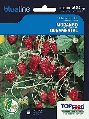 1500 Sementes De Morango Ornamental - 500 mg