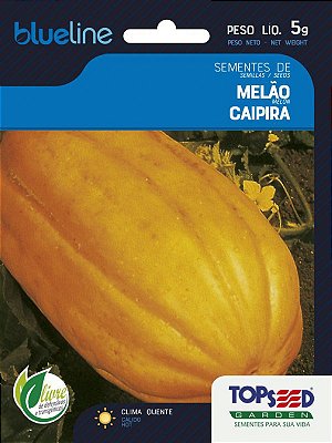 100 Sementes De Melão Caipira - 5 g