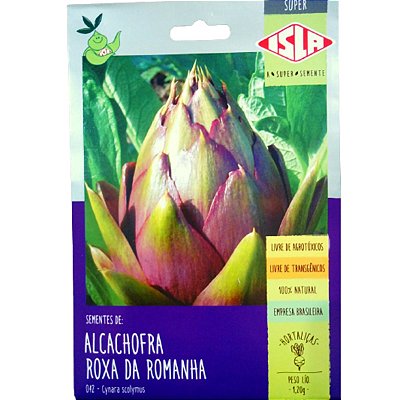 20 Sementes De Alcachofra Roxa da Romanha - 1,20 g
