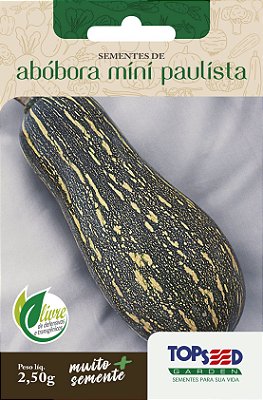 35 Sementes de Abóbora Mini Paulista - 2,5g