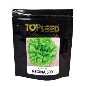 Semente de alface Regina 500 10 mx