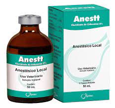 Anestt - Anestésico Local 50ml