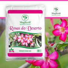 Substrato Mogifertil para Rosas Do Deserto e Bromelias - 2 Kg