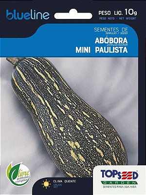 Semente de Abóbora Mini Paulista 10g