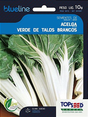 Semente de Acelga Verde de Talos Brancos 10g