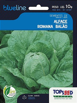 Semente de Alface Romana Balão 10g