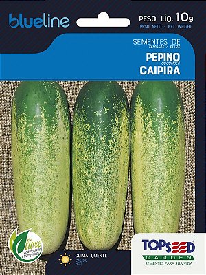 Semente de Pepino Caipira 10g