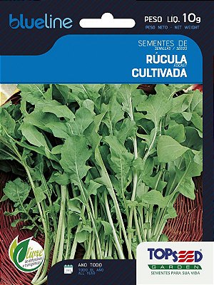 Semente de Rúcula Cultivada 10g