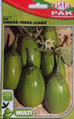 Graines de Gilo, jiló, aubergine africaine Comprido Verde Claro