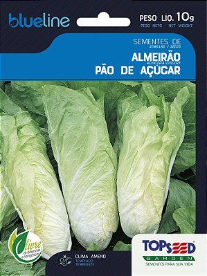 Semente de Almeirão Pão de Açúcar - Envelope 10g