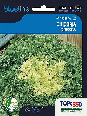 Semente de Chicória Crespa - Envelope 10g