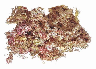 Musgo Esfagno - Sfagno - Sphagnum Seco Substrato Saco 1kg  25 litros