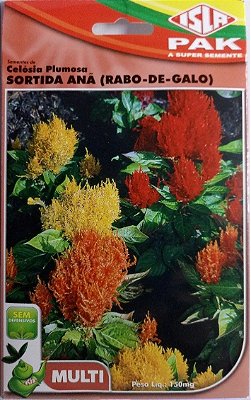 Semente de Flor Celósia Plumosa Sortida Anã / Rabo-de-Galo - Envelope 0,15g