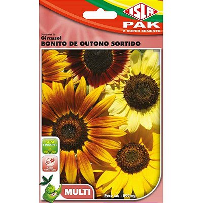 Semente de Flor Girassol Bonito de Outono Sortido - Envelope 2,4g