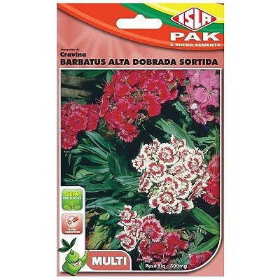 Semente de Flor Cravina Barbatus Alta Dobrada Sortida - Envelope 300mmg