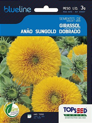 Semente de Flor Girassol Anão Sungold Dobrado - Envelope 3g