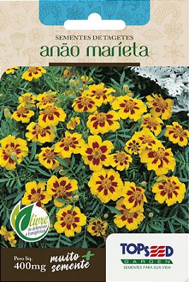 Semente de Flor Tagetes Anão Marieta - Envelope 400mg