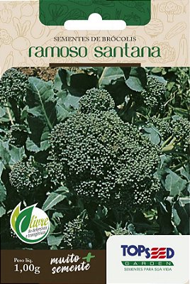 Semente de Brócolis Ramoso Santana - Envelope 1,00g