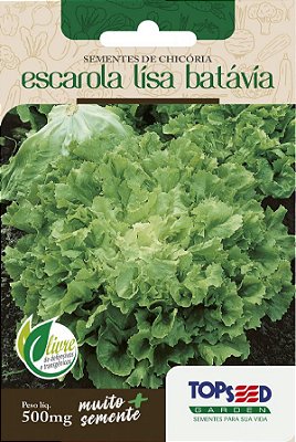 Semente de Chicória Escarola Lisa Batávia - Envelope 500mg