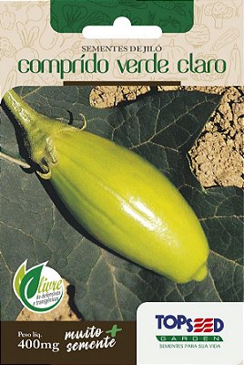 Graines de Gilo, jiló, aubergine africaine Comprido Verde Claro