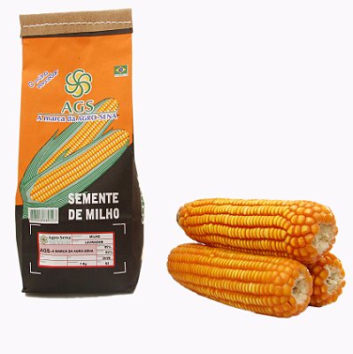 Semente De Milho Lavrador Ags 1 Kg