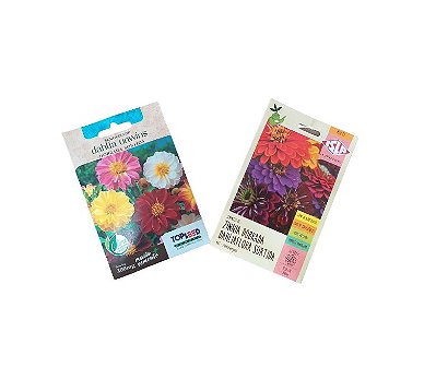 Kit Sementes De Zinia Dobrada Dália Flora + Dahlía Unwíns