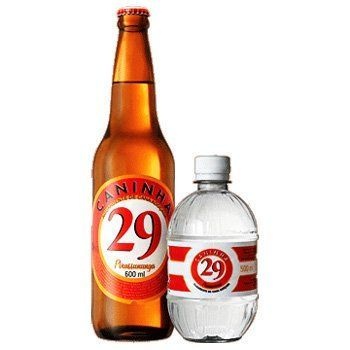 Aguardente Caninha 29 - 500 ml