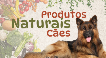 PRODUTOS NATURAIS CAES1
