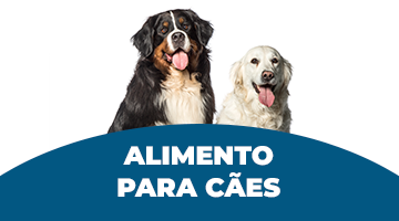 Alimento Para Cães 2025