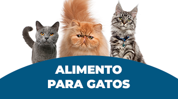 Alimento para Gatos 2025