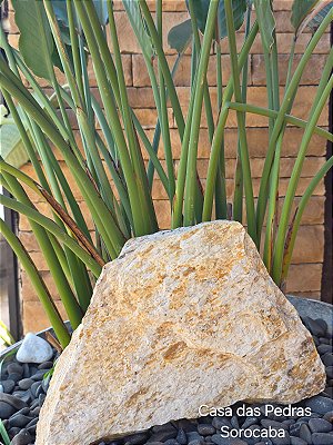 Pedra Madeira Amarelo Claro Irregular Cacos - R$ 180,00 m²