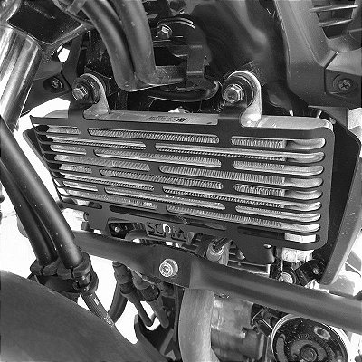 Protetor Radiador CB300F Twister 2023+ SPTO696