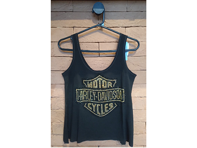 Regata Harley Davidson Pedraria
