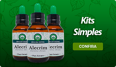 kits simples mini