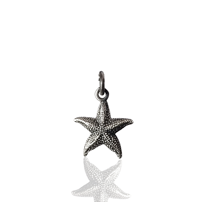 Pingente Estrela do Mar Essentia